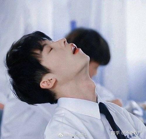 吃瓜娱乐圈许光汉,瓜田里的娱乐圈明星