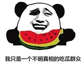 吃瓜群众网络用语