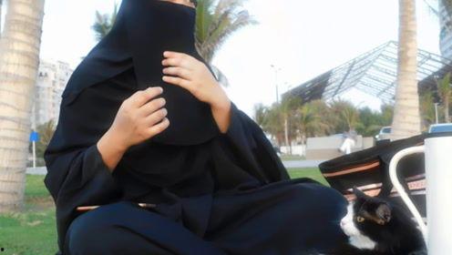 娱乐圈吃瓜君七七