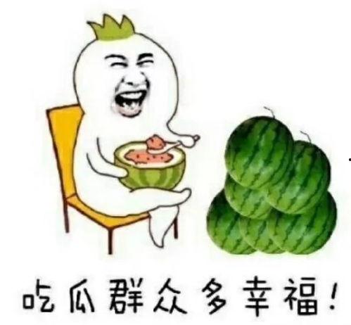 可以吃瓜娱乐圈